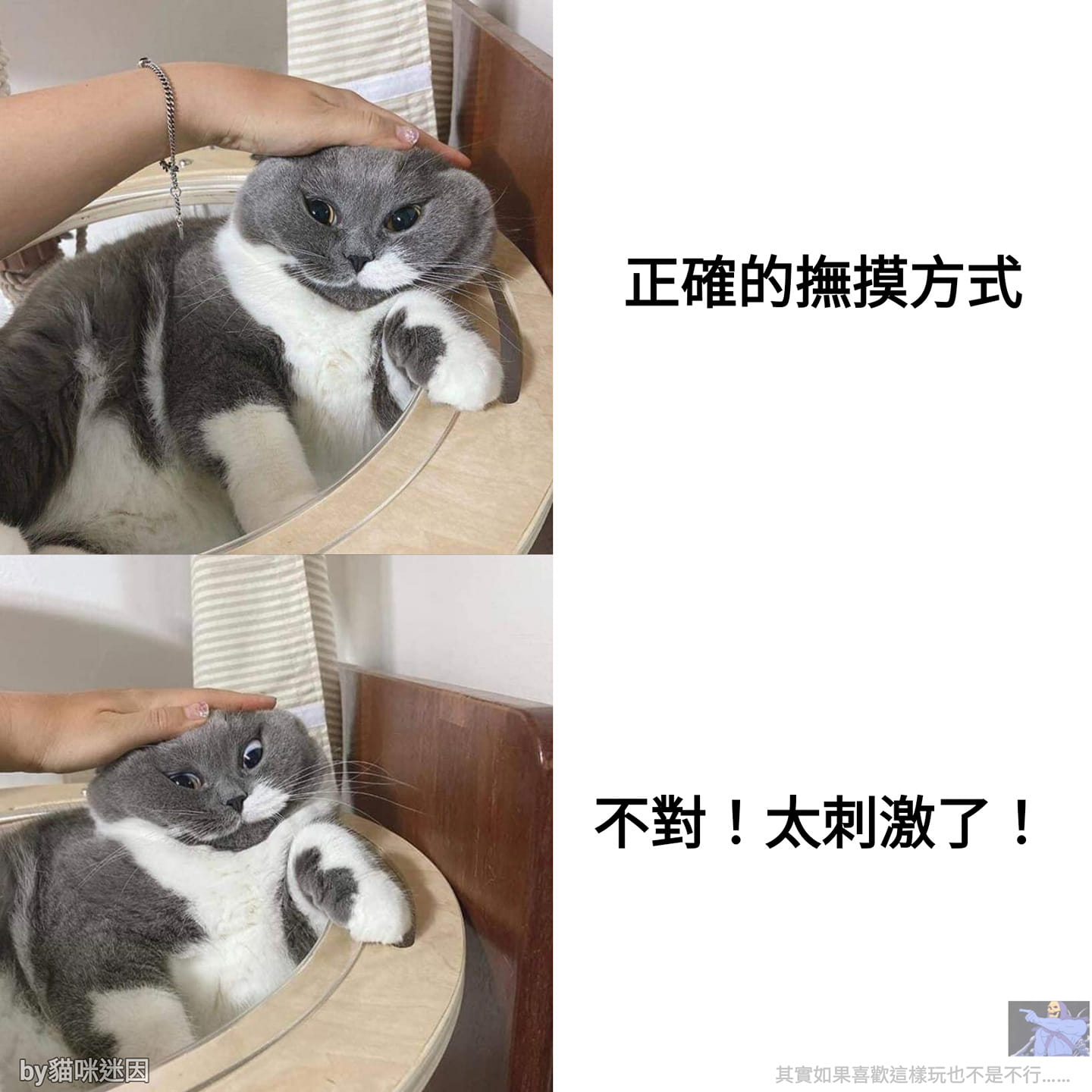 貓咪迷因cat memes - 這是原本要給業配使用 最後廢棄ㄉ怪圖 因為我覺得蠻可愛ㄉ所以乾脆直接丟出來 | Facebook