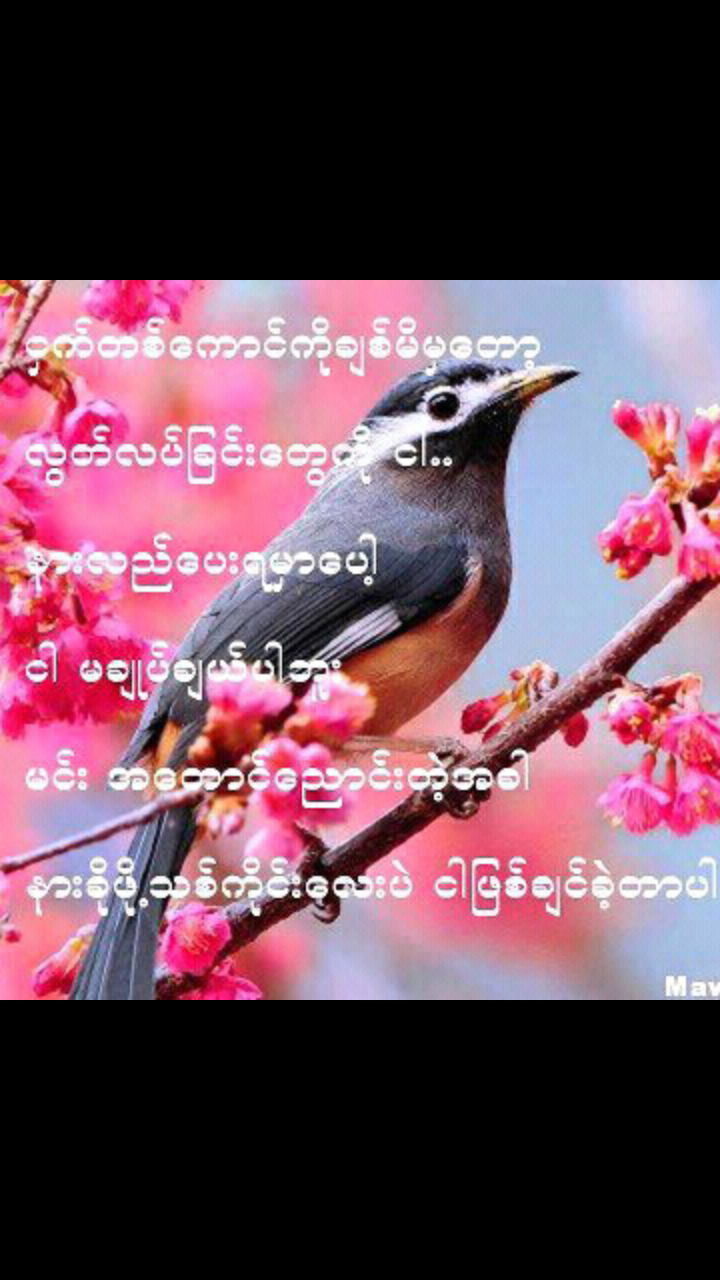 Naing Lay
