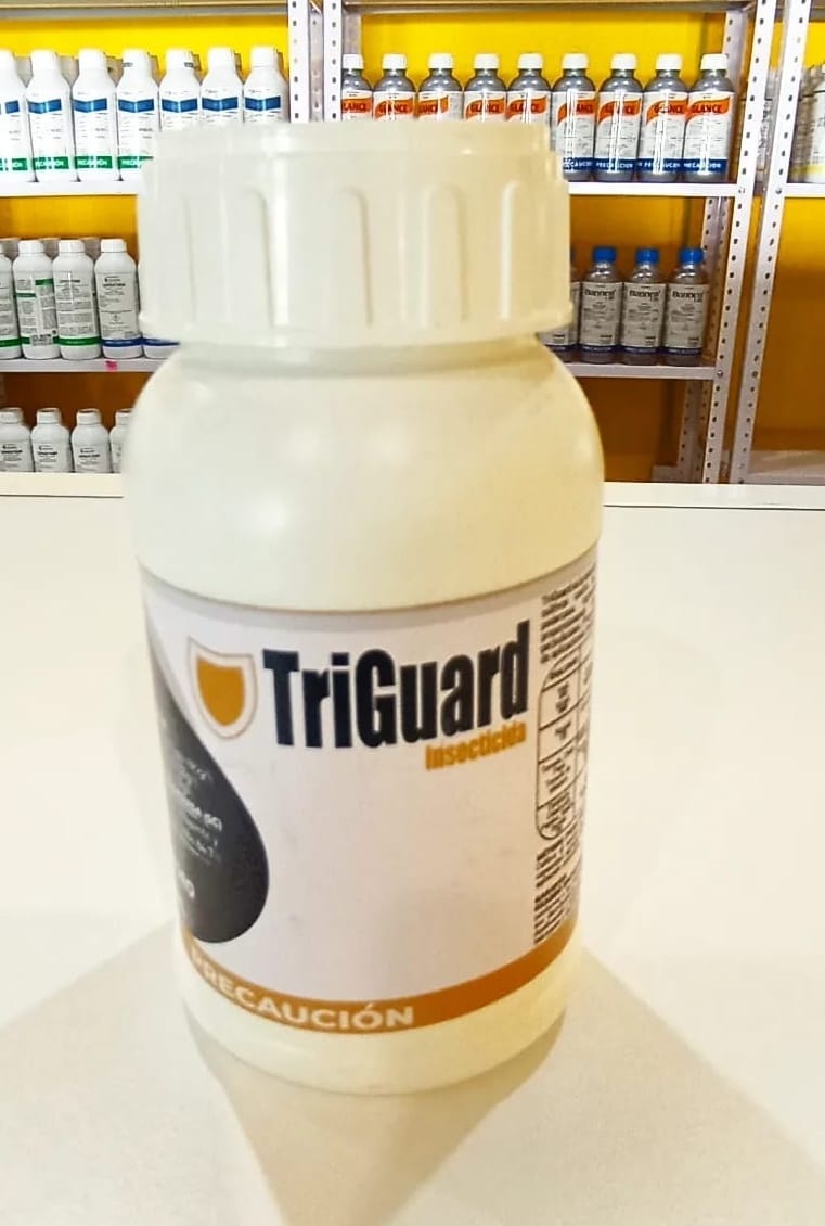Agroxim - 📢📢 INSECTICIDA 