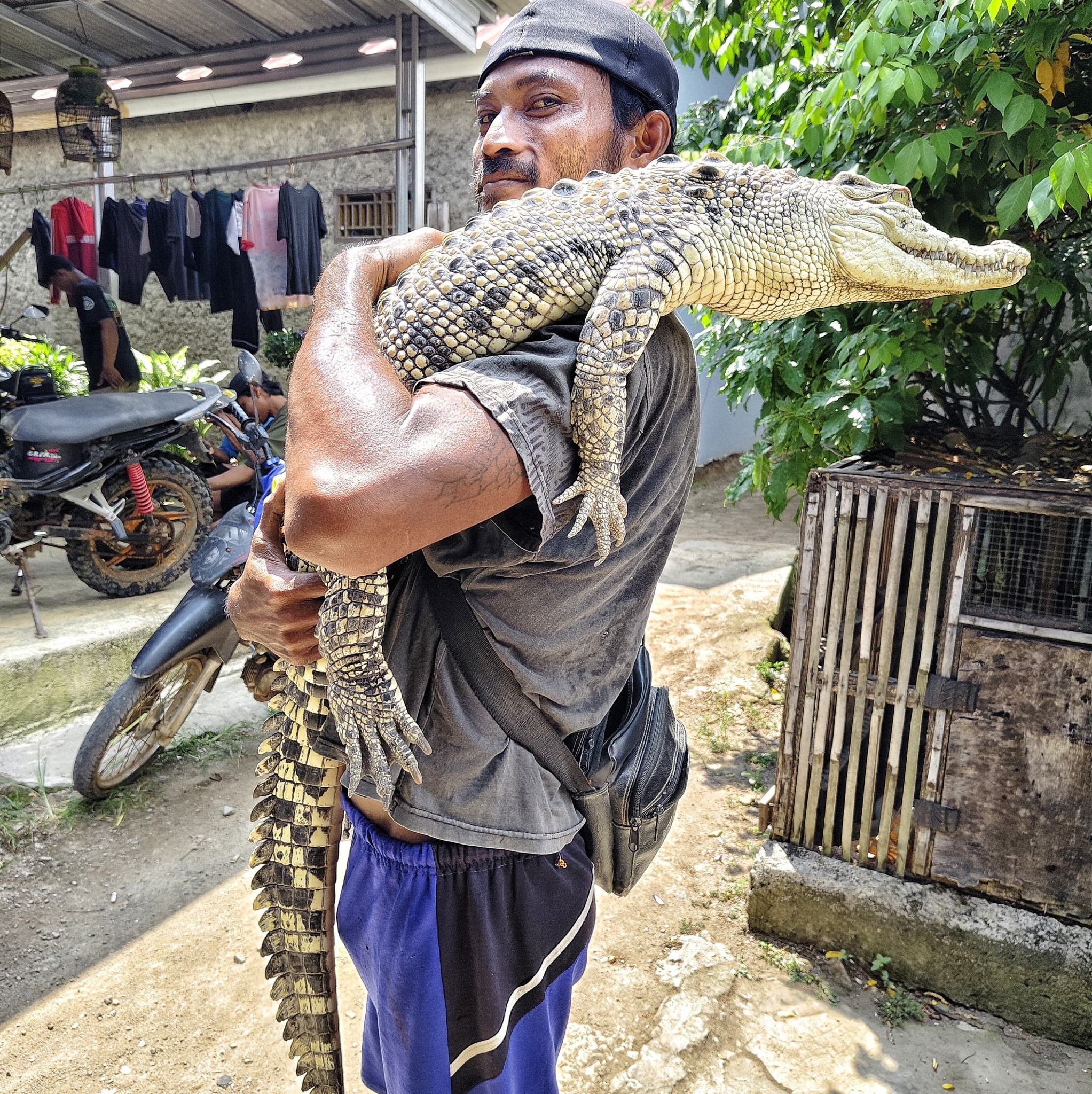 Big and long😱 #Rells #fyp #Animals #AllvanAbimanyu | Allvan Abimanyu