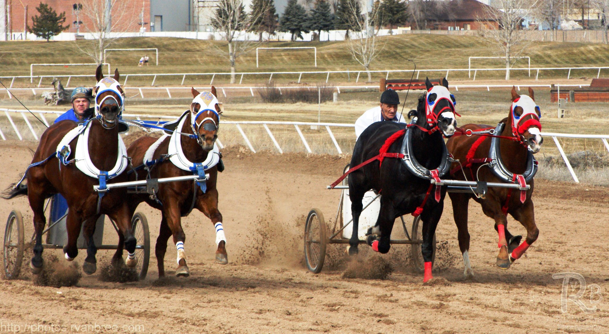 World Championship Cutter and Chariot Racing Association WCC&CRA | Ogden UT