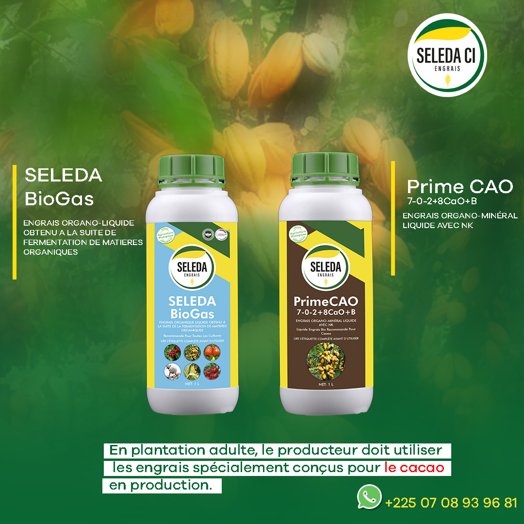 FERTILISATION DES CACAOYERS ADULTES... - Seleda Côte d'Ivoire | Facebook