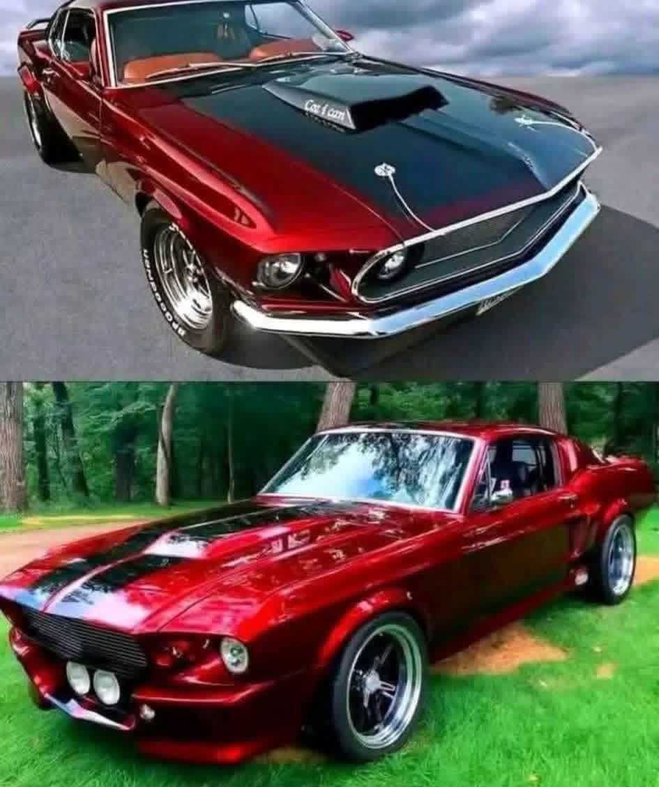 1968 Ford Mustang GT 1/64 (Neu und originalverpackt) in Wohlen AG für