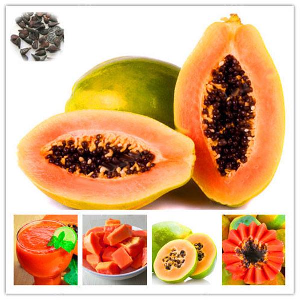 Papaya Farming in Pakistan