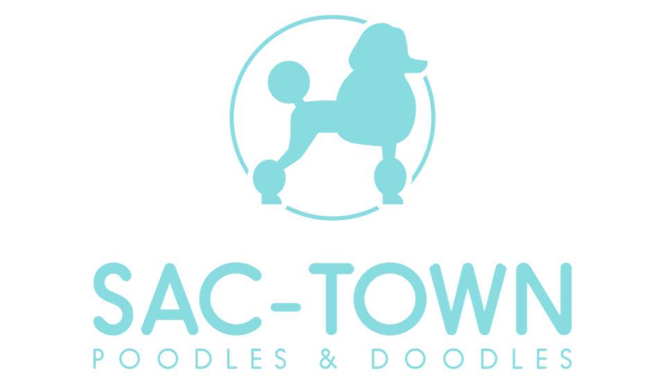 LI Poodles & Doodles added a new photo. - LI Poodles & Doodles