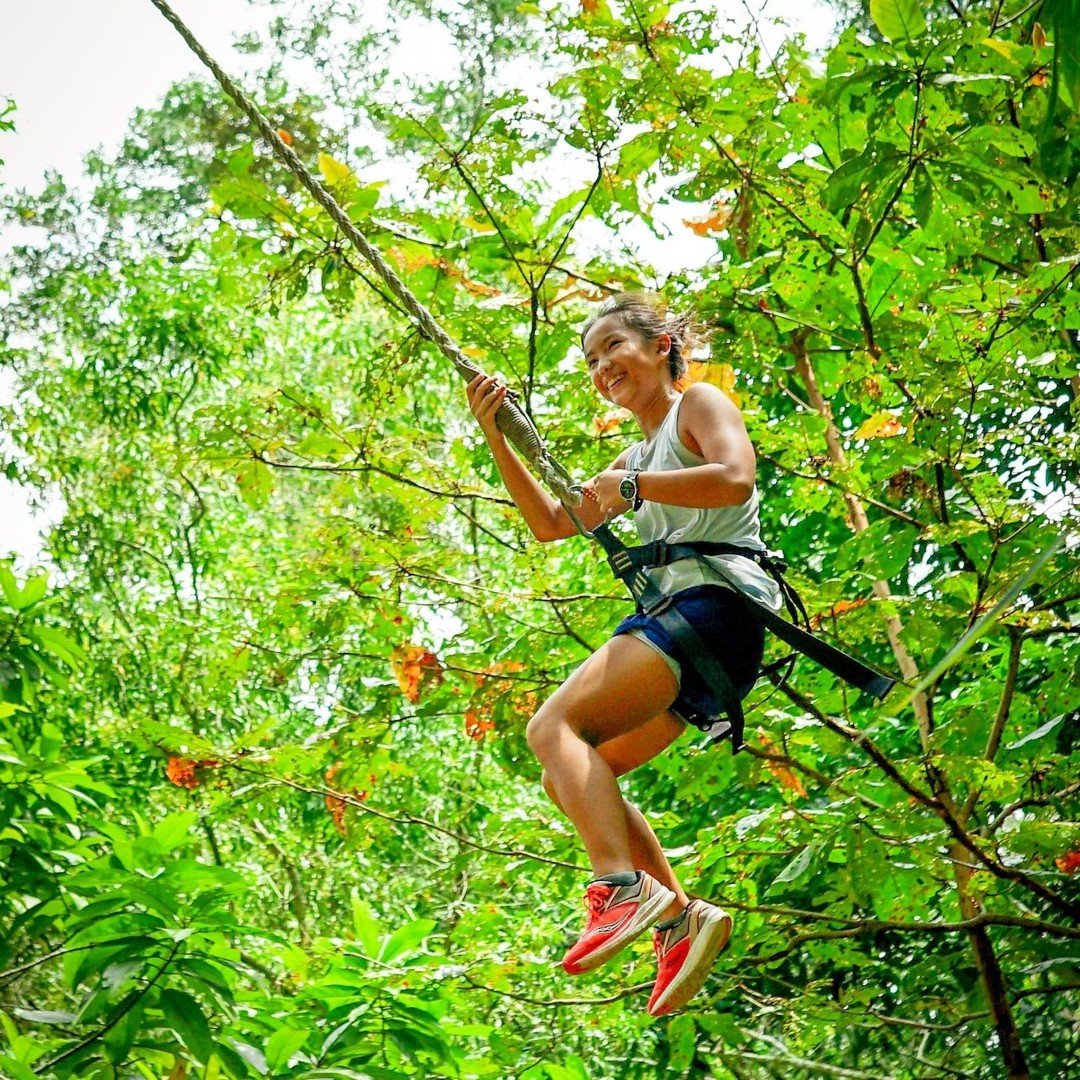 Escape Penang - Did you know ESCAPE Penang has planted...