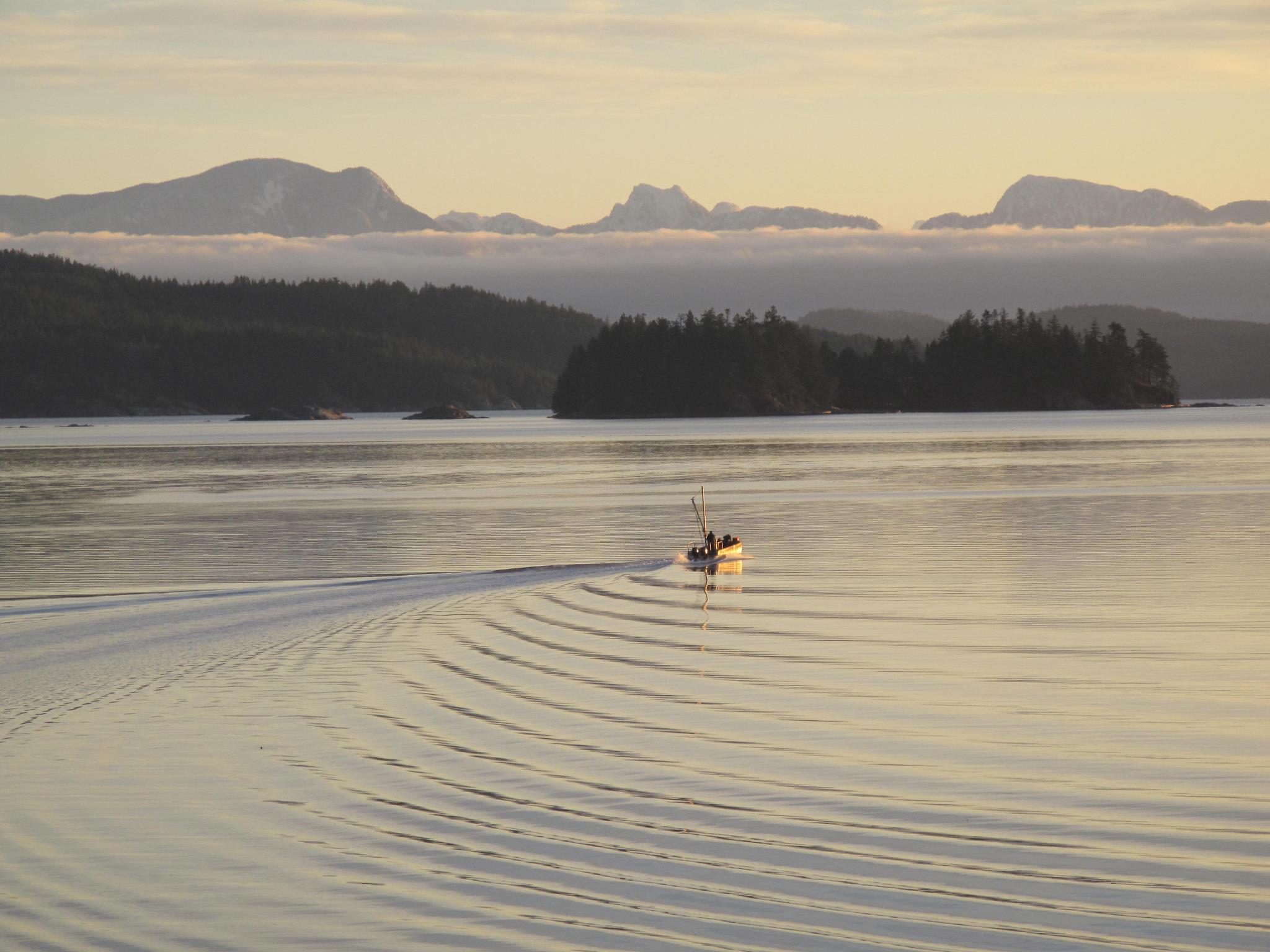 Sawmill Bay Shellfish | Read Island BC