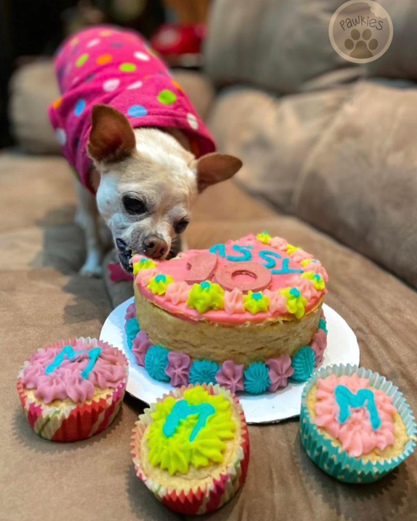 Pawkies