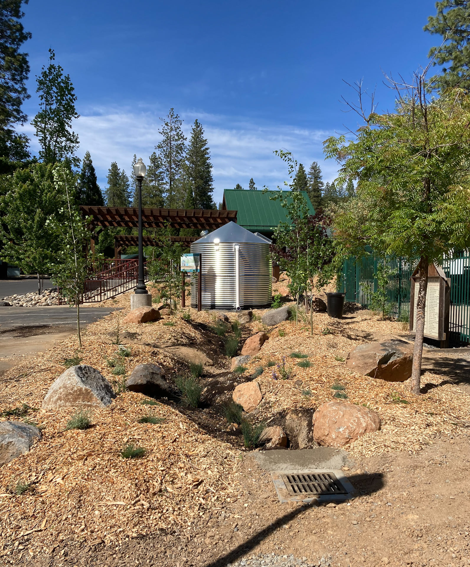 TimberTech Tree Co. | Tuolumne CA
