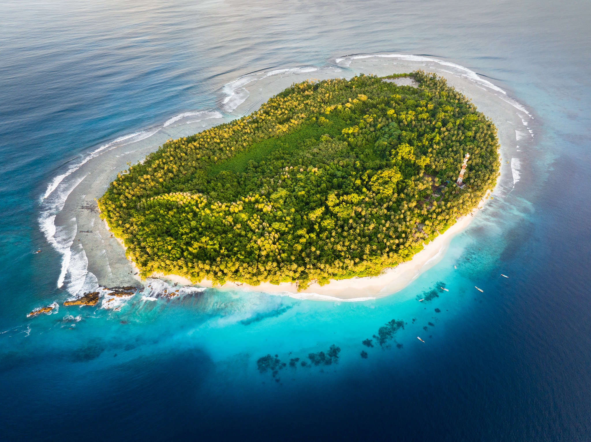 Pinang Island - 🌴 Imagine yourself on a secluded island in... | Facebook