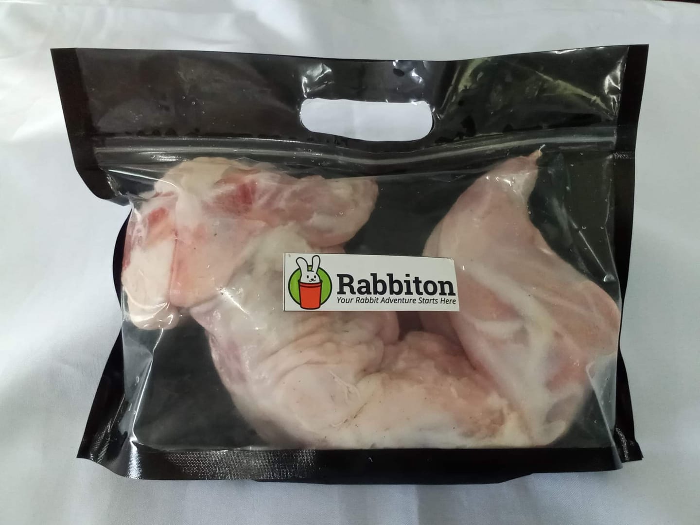 Paul and Rabbits | Pamplona