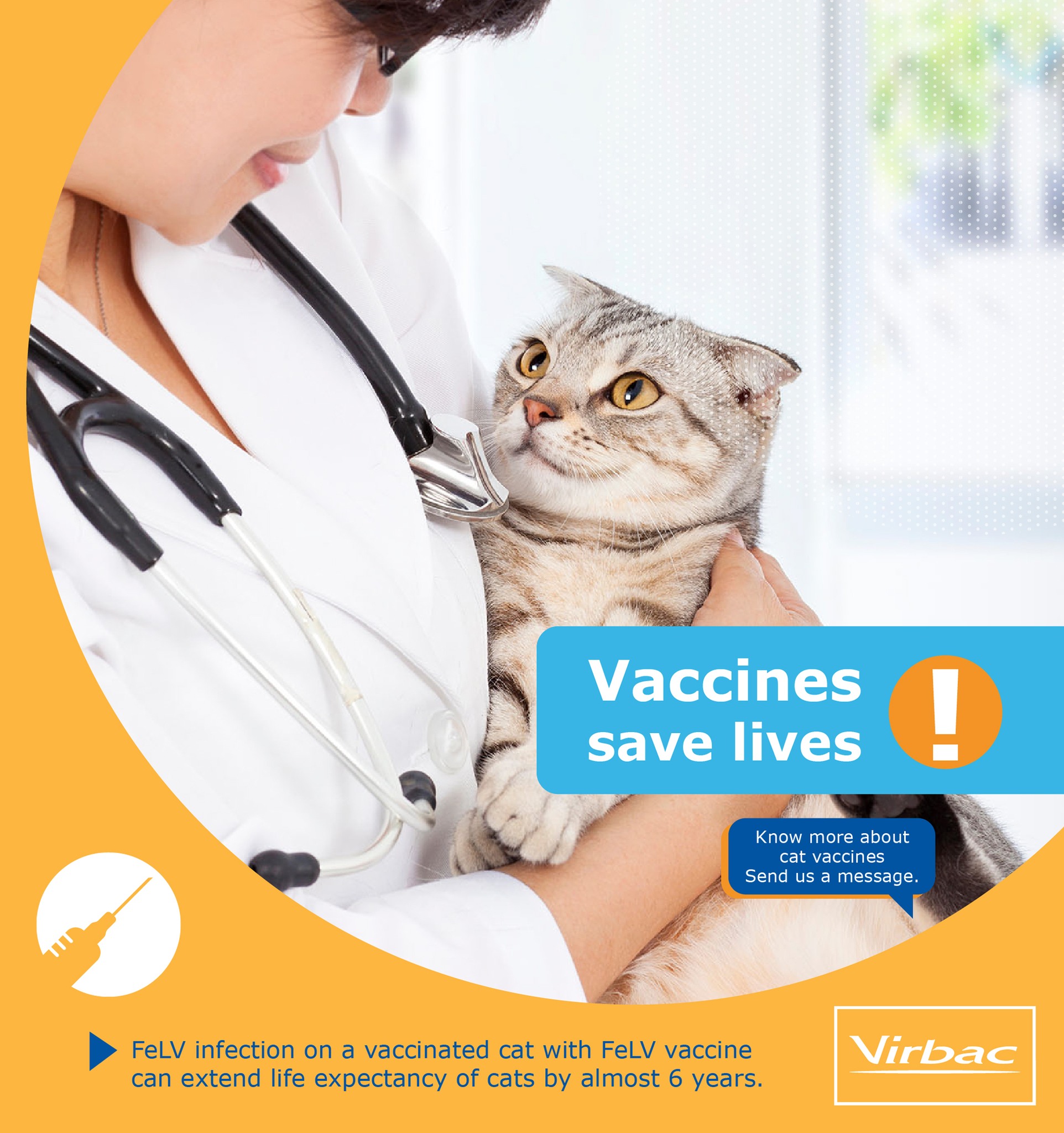 Curated visual reference: Feline Leukemia Median Life Expectancy Reference: Virbac Once A Cat Is Infected With Feline Leukemia Virus