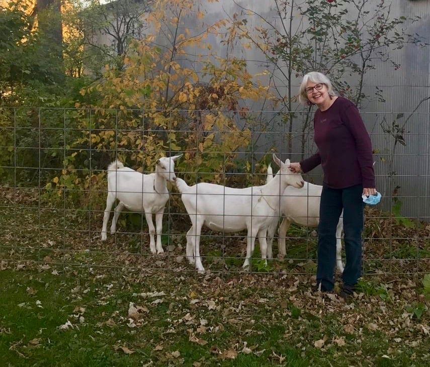 Irish Ridge Farm B&E