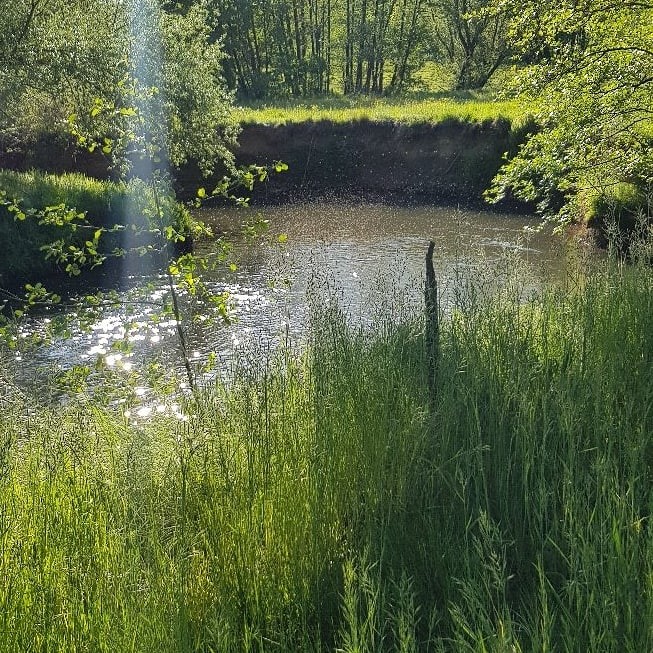 De Geul is weer rustig en kalm,... - Herberg de Smidse | Facebook