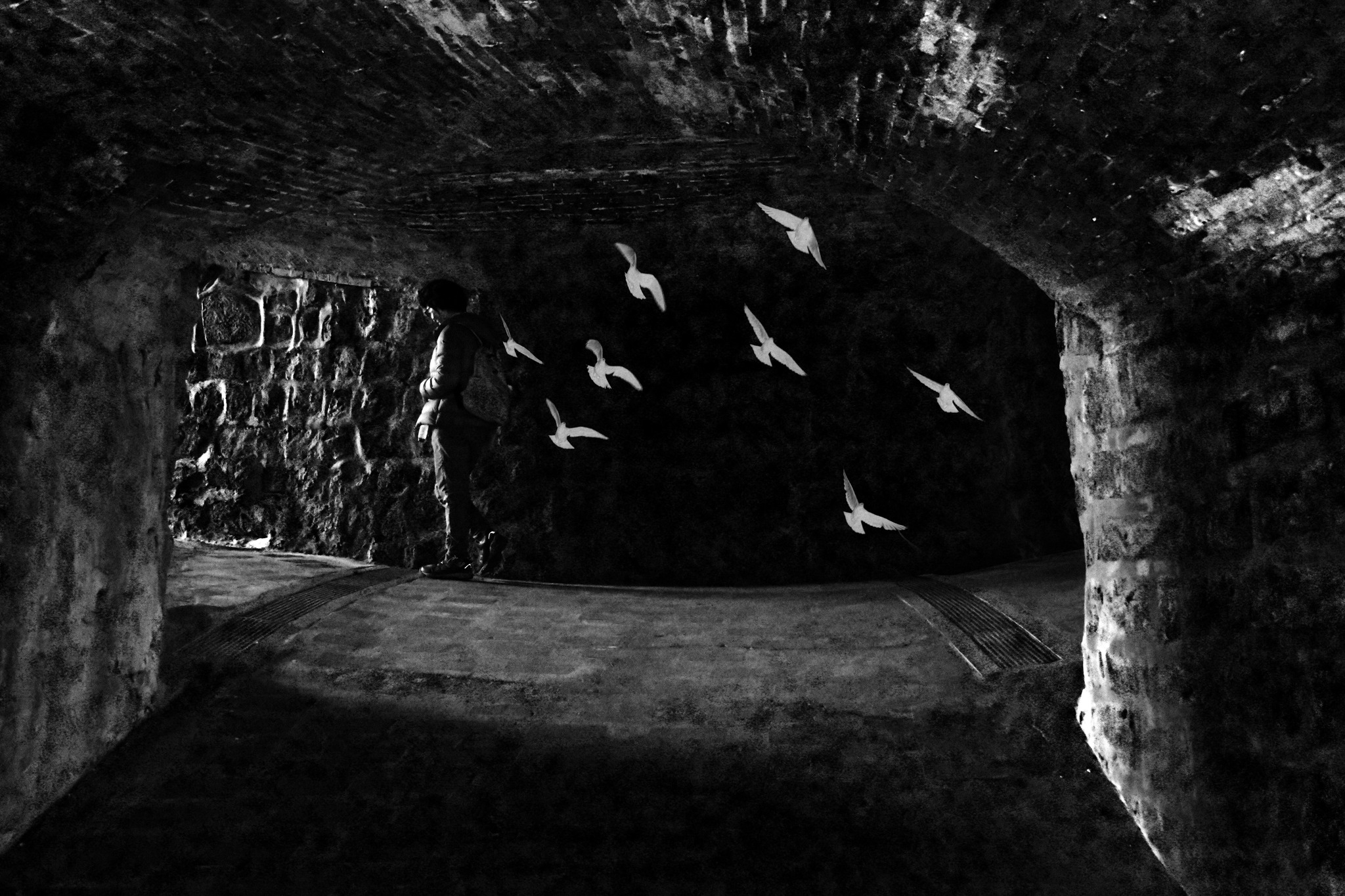 森山大道 Daido Moriyama