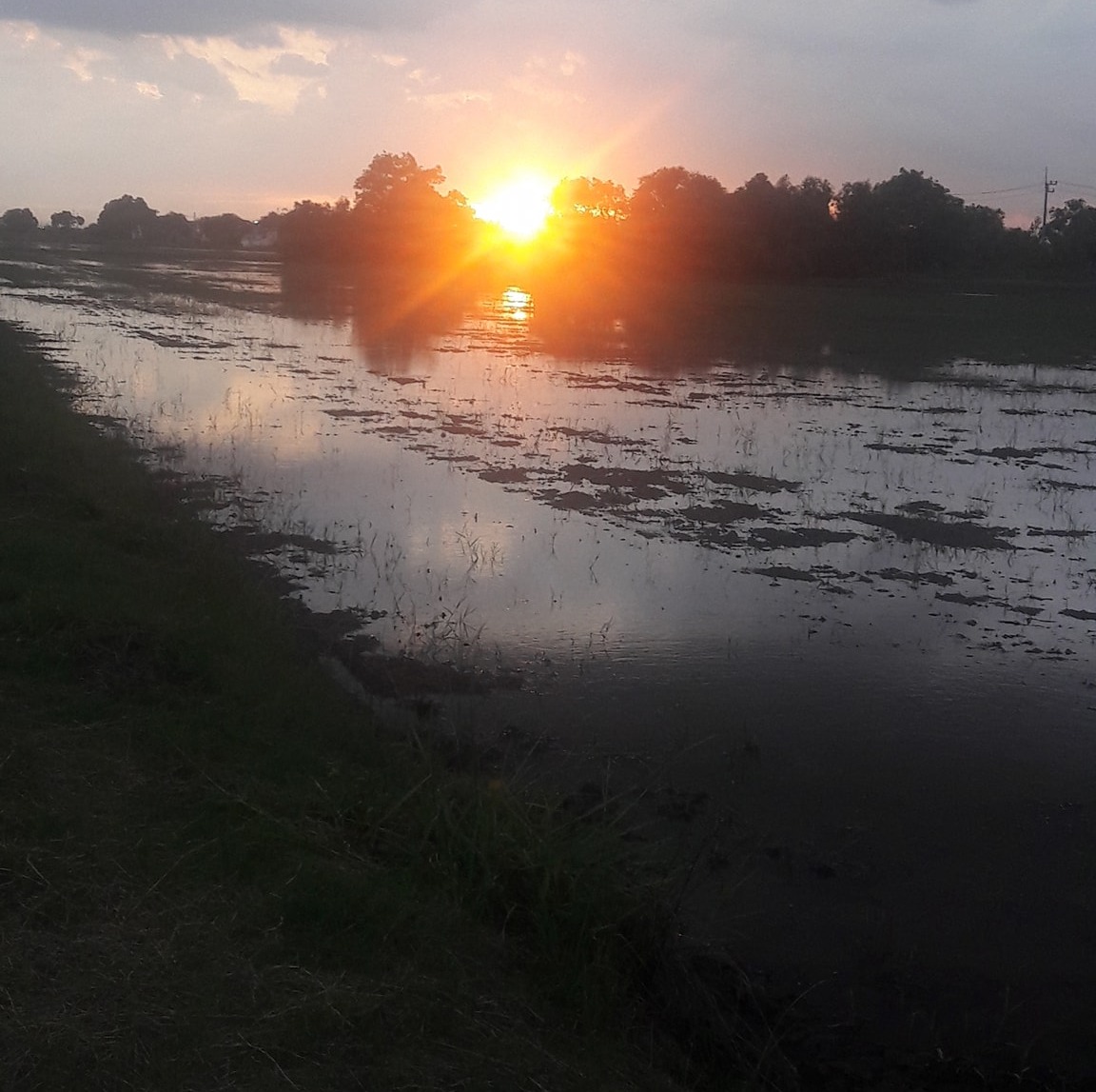 Tik Kokaew