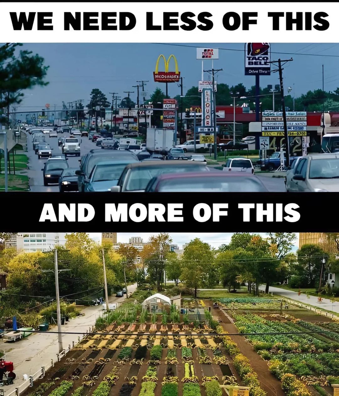 Gardening Fun - https://www.facebook.com/groups/13580476987... | Facebook