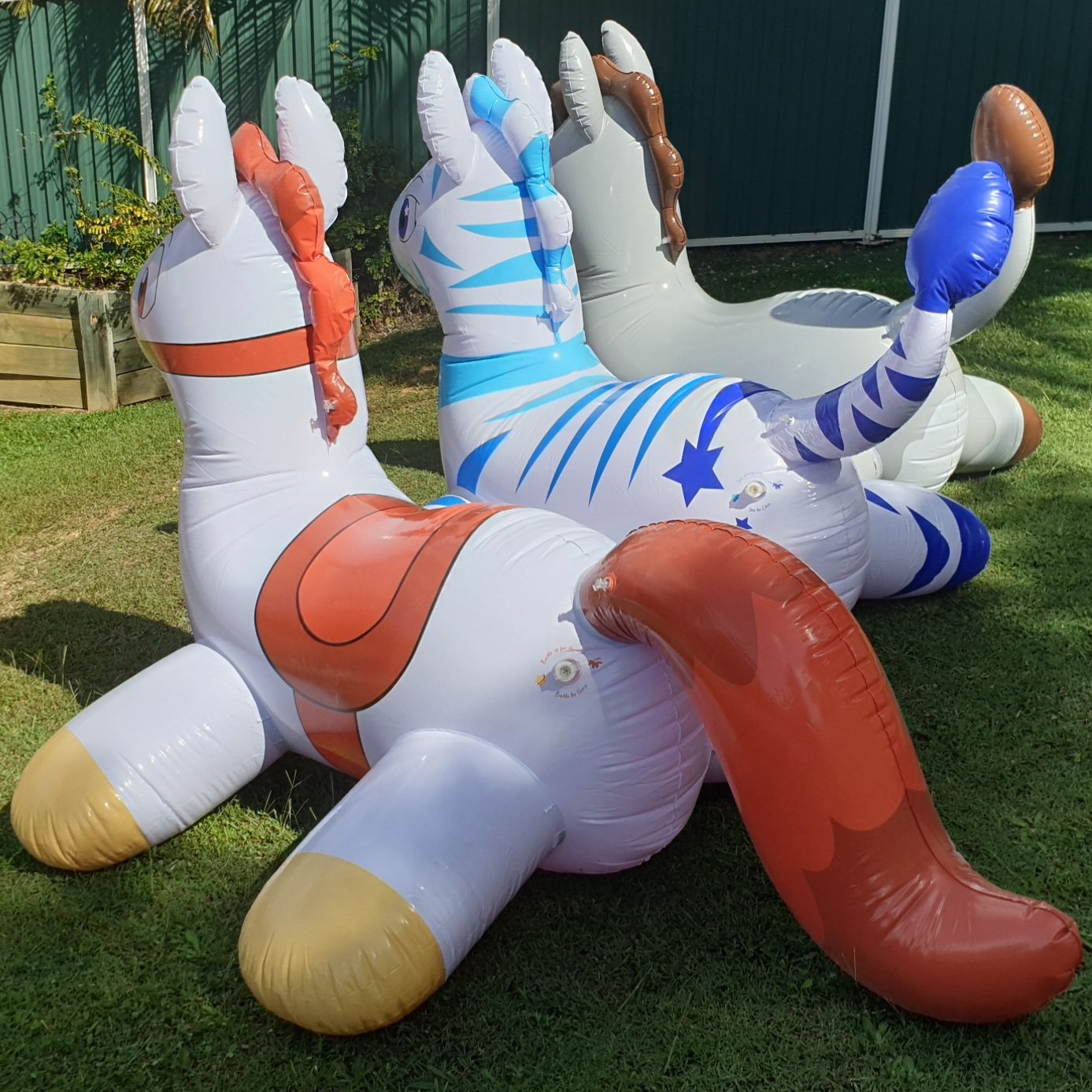 Inflatable Party Animals - Right rear angle view with me in between ...
