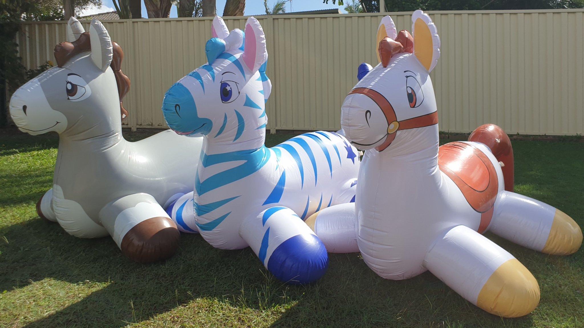 Inflatable Party Animals - Right rear angle view with me in between ...