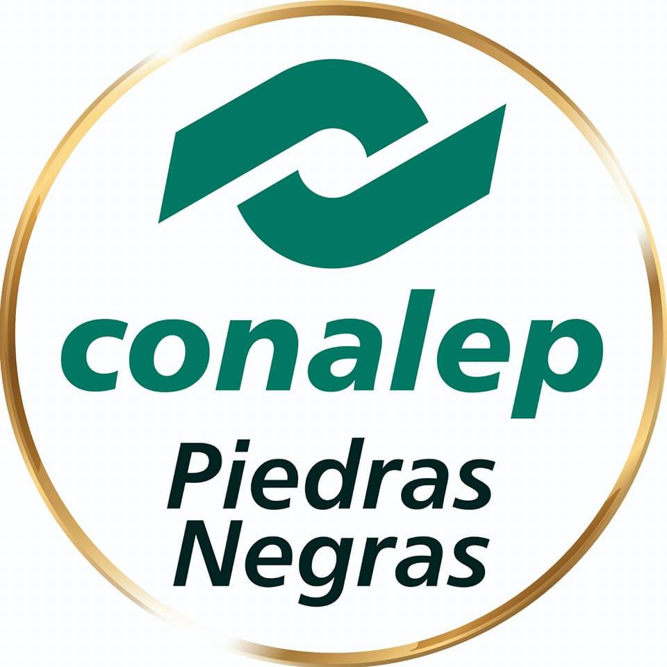 💀🌼 ¡Celebramos nuestras tradiciones mexicanas en CONALEP! 🇲🇽 Nuestro ...