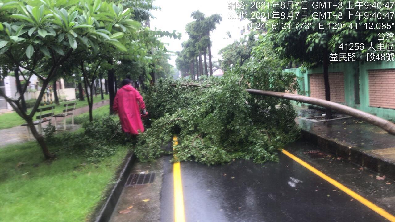臺中市大里區公所 - 🌲~~~樹木傾倒快速處理~~~🌲...