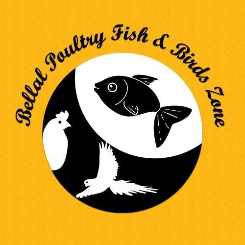 Bellal Poultry Fish &... - Bellal Poultry Fish & Birds Zone