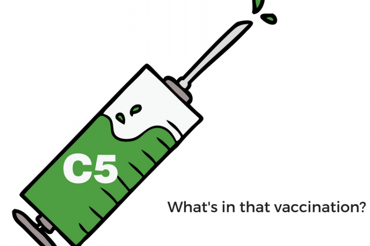 Mornington - Please remember to show your current C5 vaccination ...