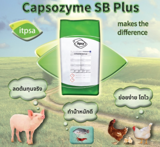 ITPSA Thailand - รู้หรือไม่... | Facebook
