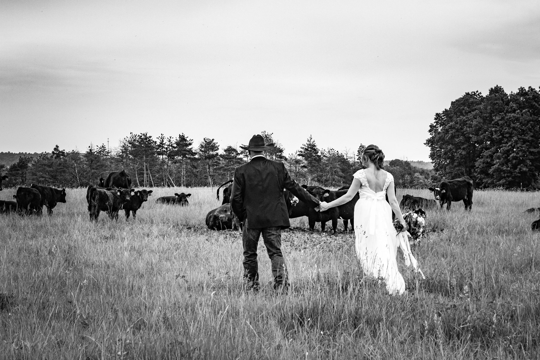 Bingham Stock Farm | Enon Valley PA