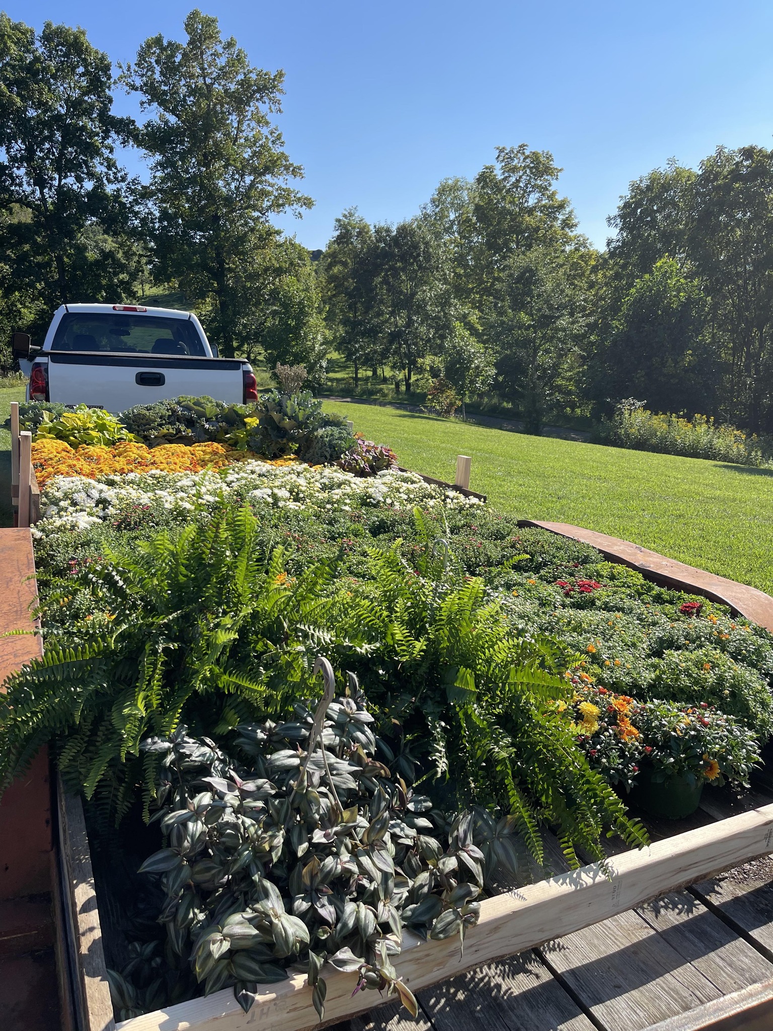 Tater Ridge Farm | Lebanon VA