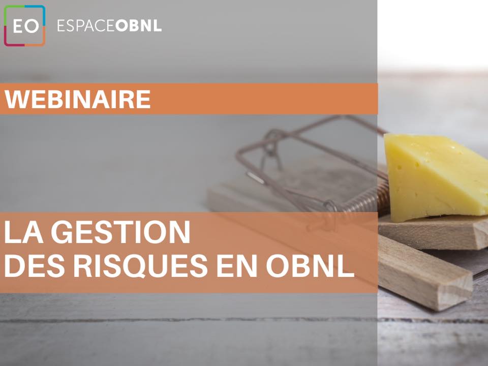 Webinaire - La gestion des risques en OBNL