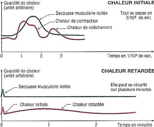 Moussa Rebouh - Moussa Rebouh added a new photo.