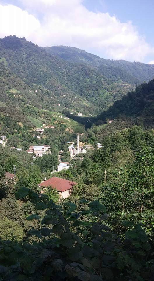 giresun-g-rele-so-ukp-nar-k-y-selam-sana-giresun