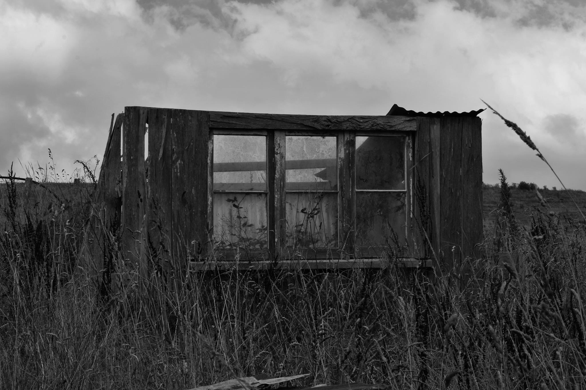 Renee Rose Photography