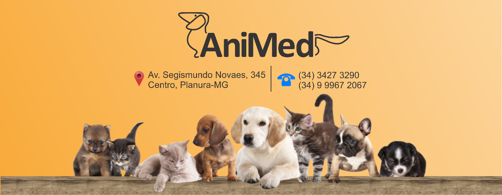 Animed Clínica Veterinária e Pet Shop