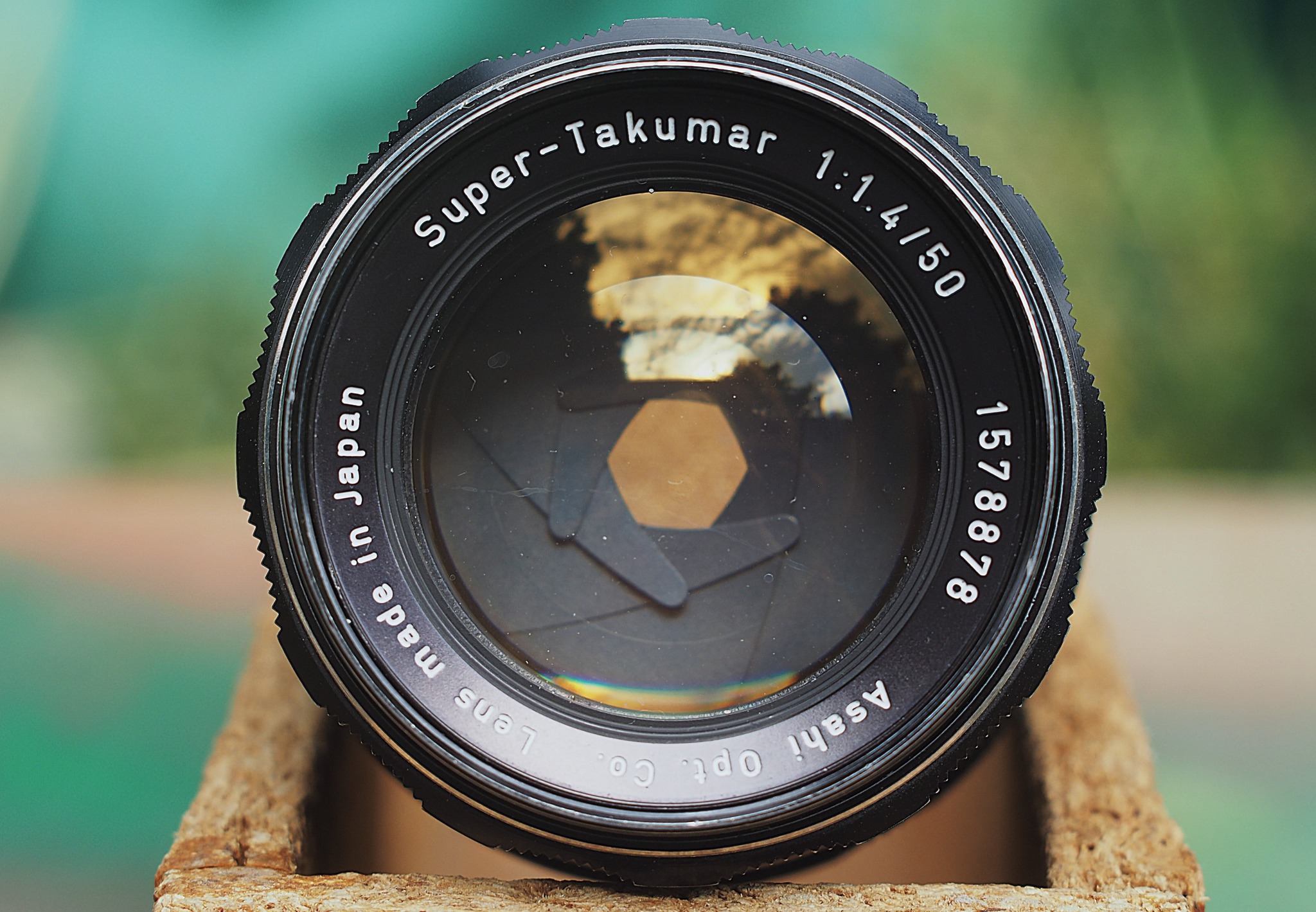 Vintage Nikon lenses on Nikon Z6 camera