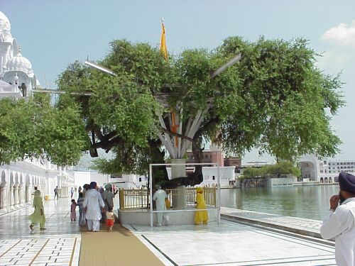 New Horizon... - New Horizon Global School Palasaur Sangrur