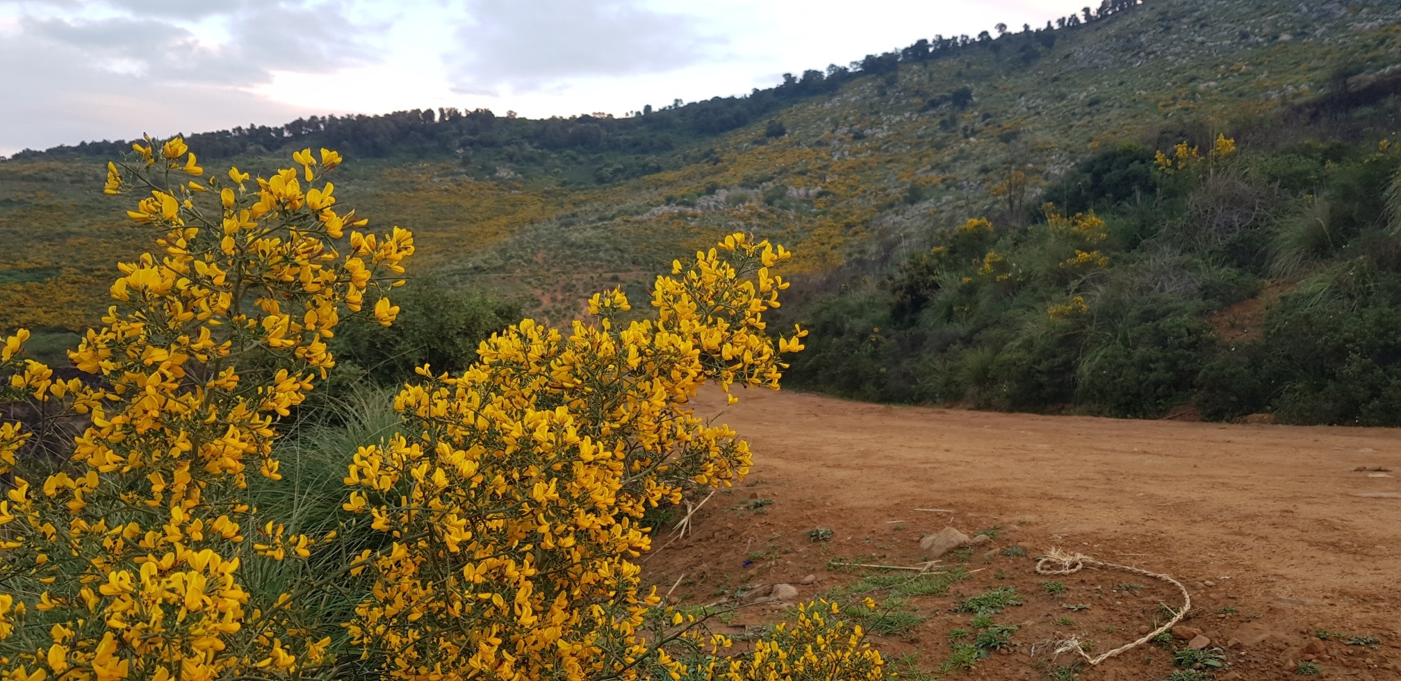 Les... - Les villages de Ammal-Ait Amrane - Souk lhed