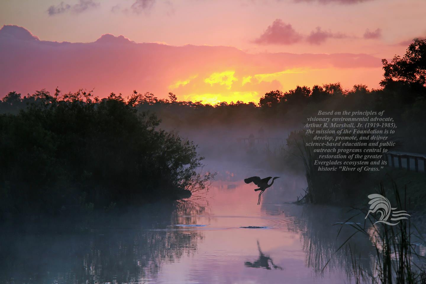 Arthur R. Marshall Foundation for The Everglades | Palm Beach FL