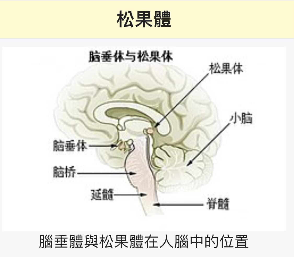 R.初心旅程索引 - 薩古魯曾提到激活松果體後，松果體分泌物的三種層面應用。 1.強身健體、延年益壽 2.內在充滿幸福喜悅感 3.提升感知力 ...