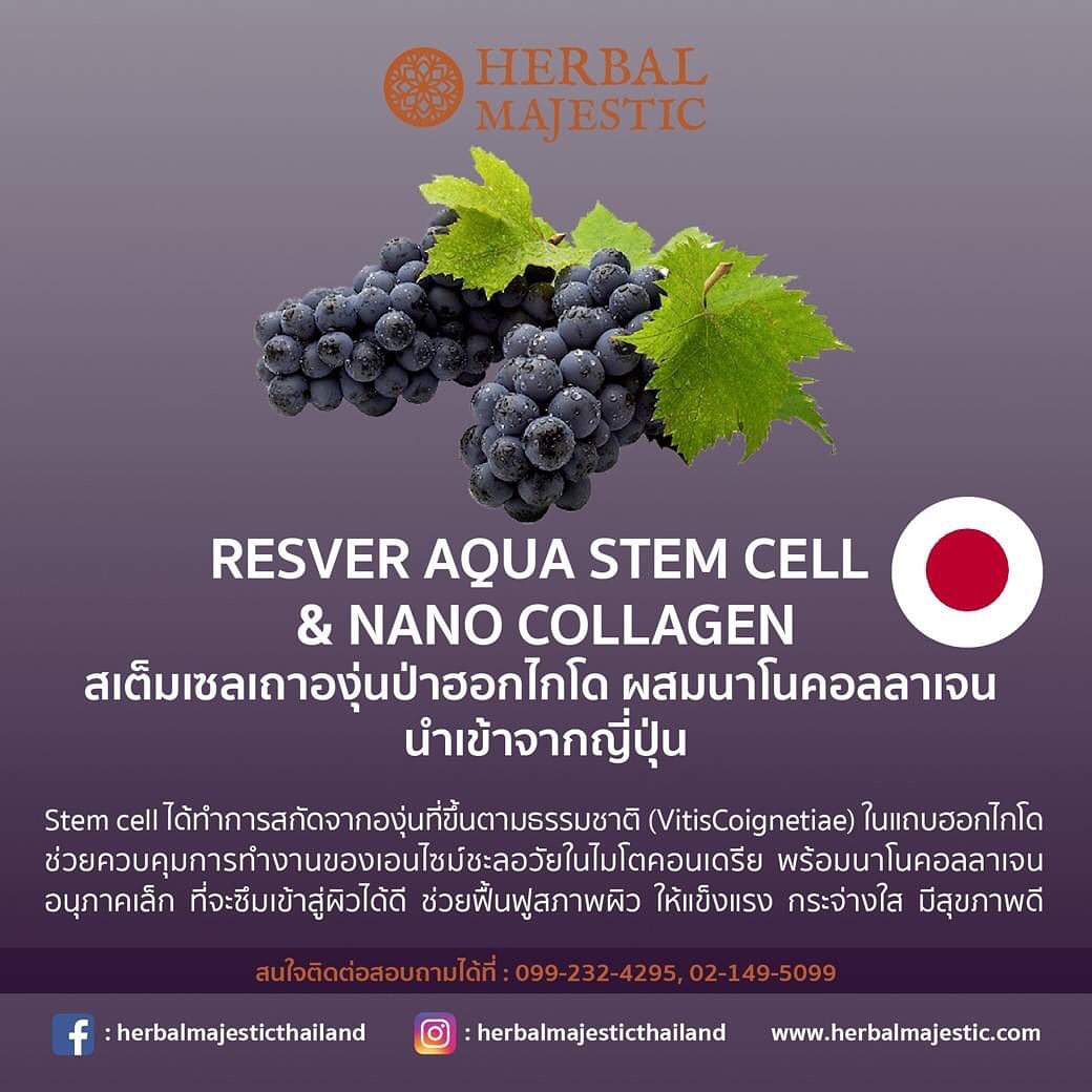 Herbalmajesticthailand - RESVER AQUA STEM CELL &NANO COLLAGEN สเต็มเซล ...