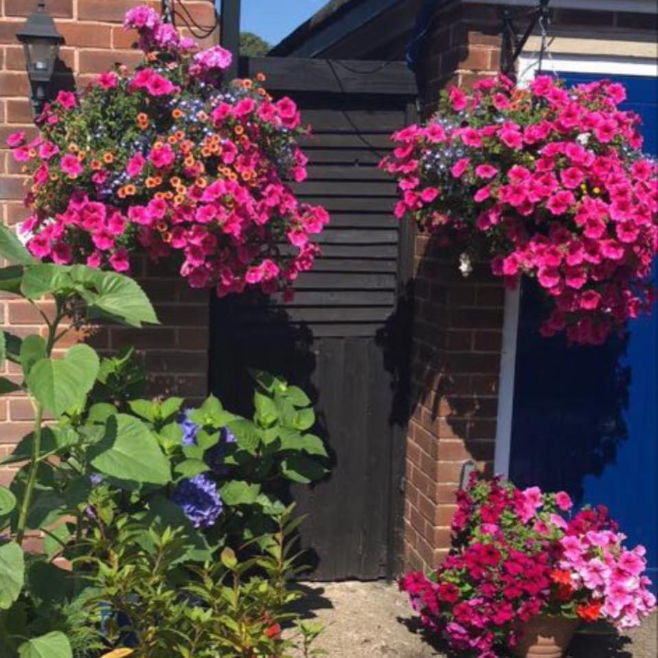Burleydam Garden Centre added a... - Burleydam Garden Centre