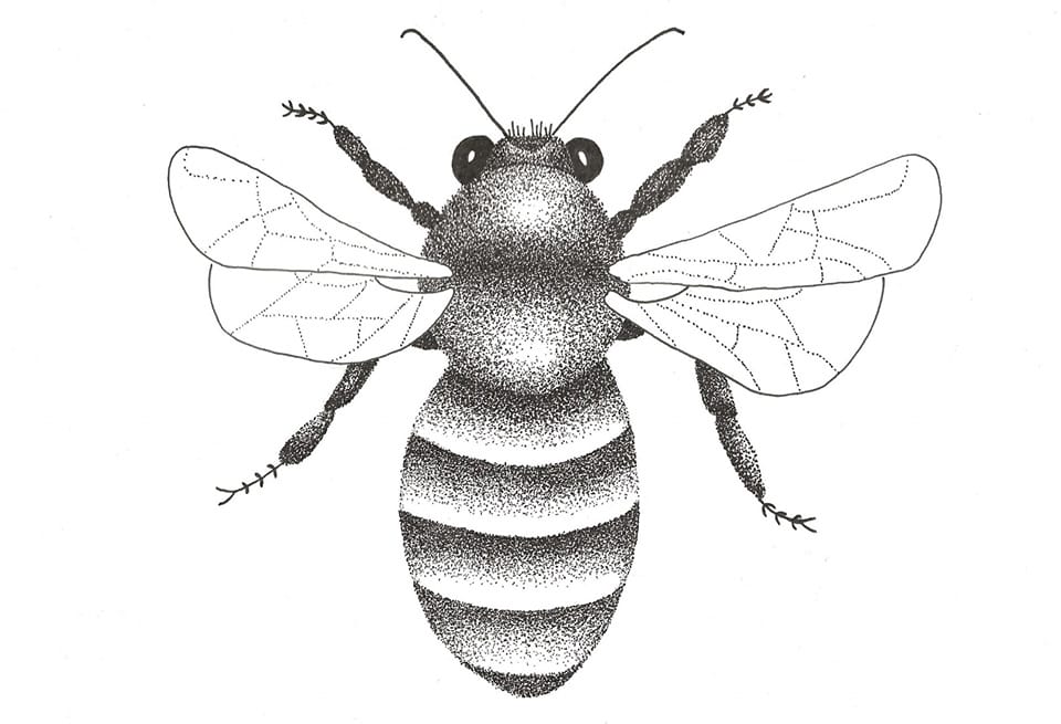 Stippling arts