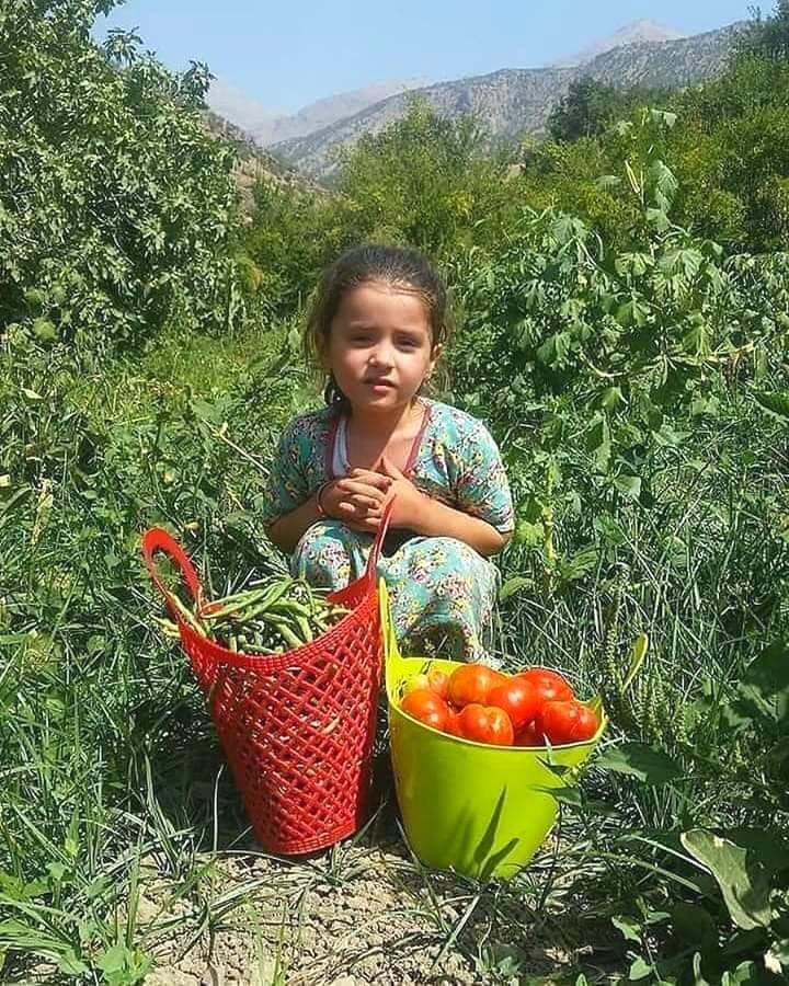 صباح البراءة والنقاء لكل متابعينا قناة جبالة Jbala Canal فيسبوك