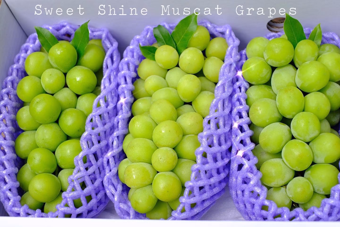Sweet Shine Muscat Grapes 💚... - IYARA Premium Fruits