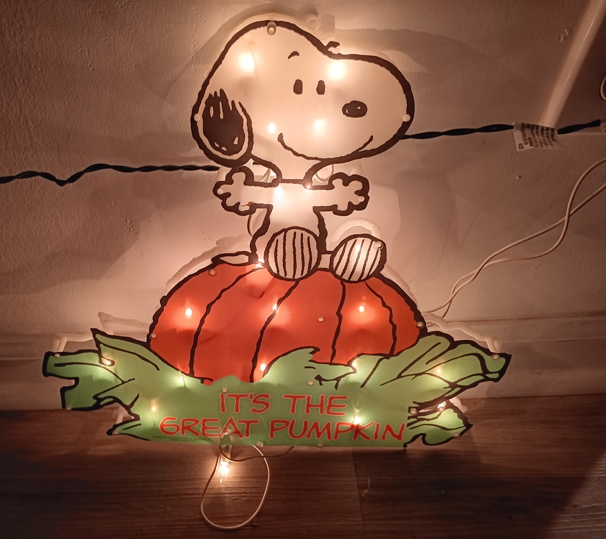 Snoopy AM/FM milk box radio found at Goodwill