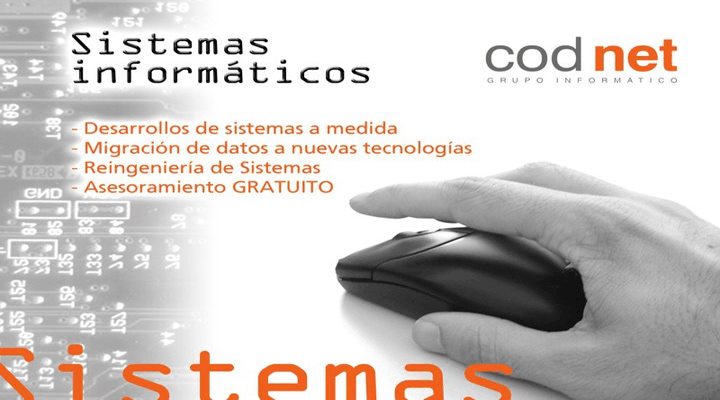 Grupo Codnet