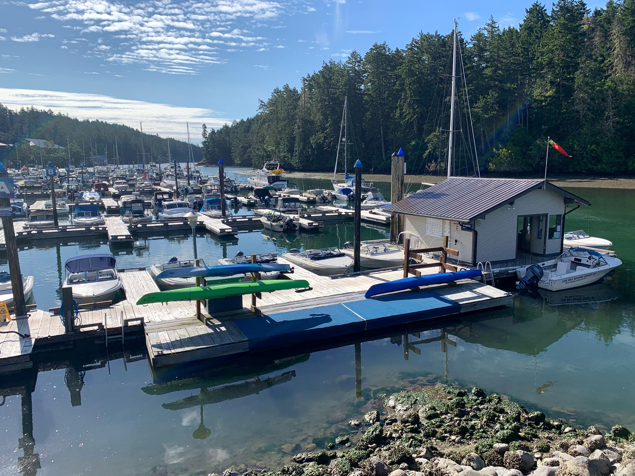 Happy #WorldOceanDay 🌊⁣ ⁣... - Pedder Bay RV Resort & Marina | Facebook