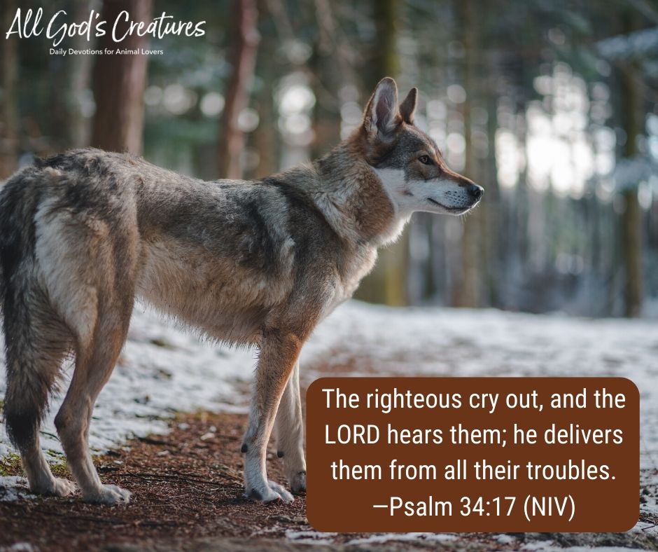 The LORD, the Maker of... - Daily Devotionals from Guideposts