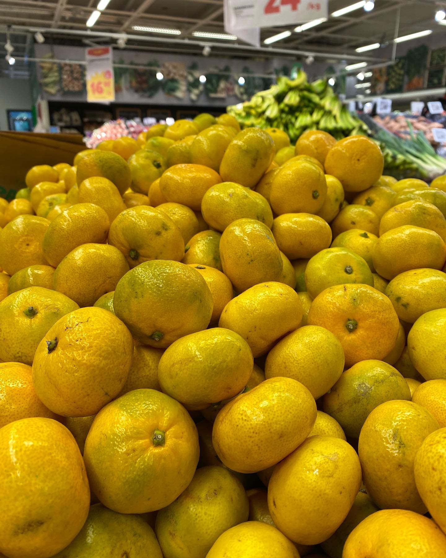 coop-lidk-ping-ntligen-b-rjar-satsumas-s-songen-och-de-facebook